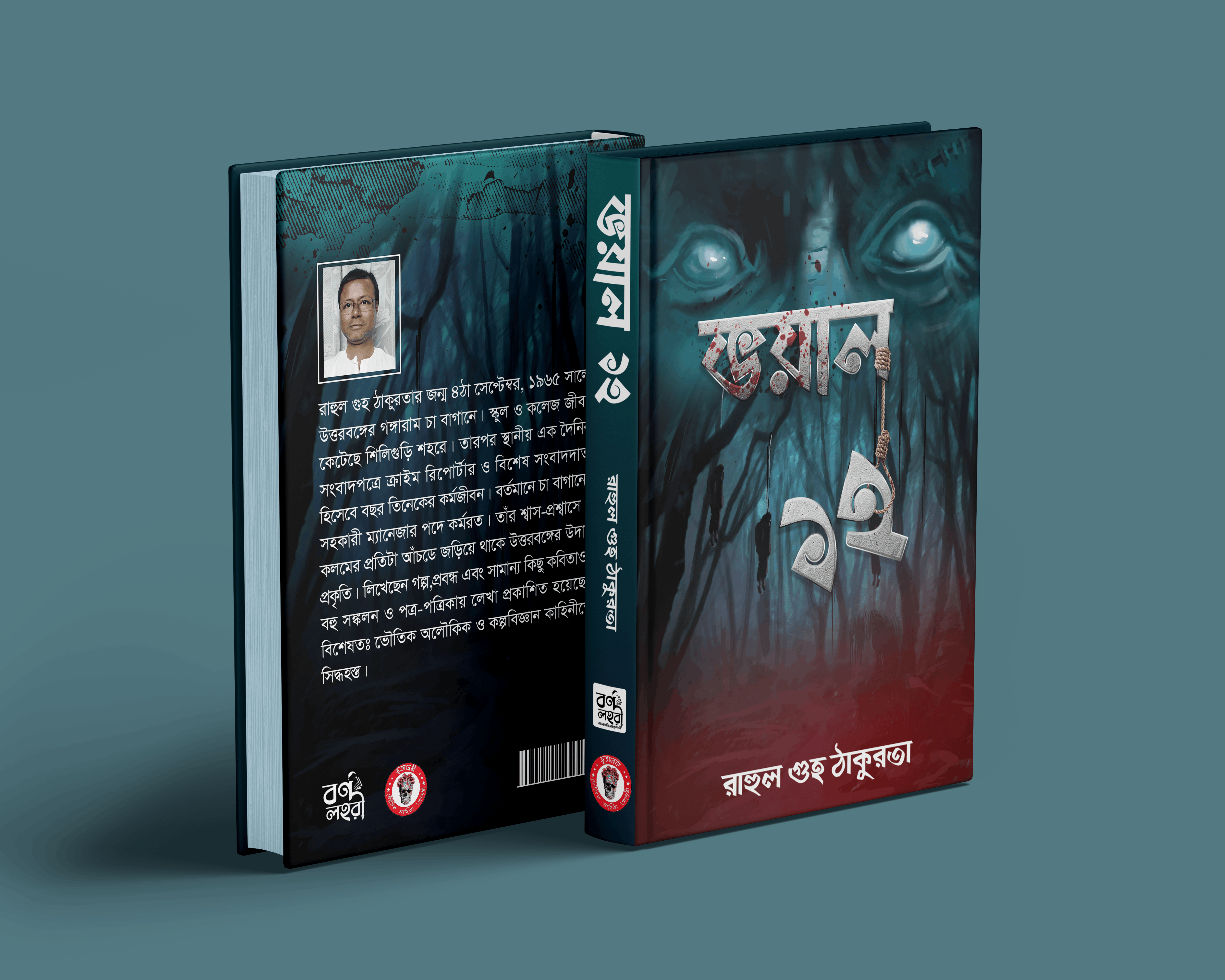 book cover 1
